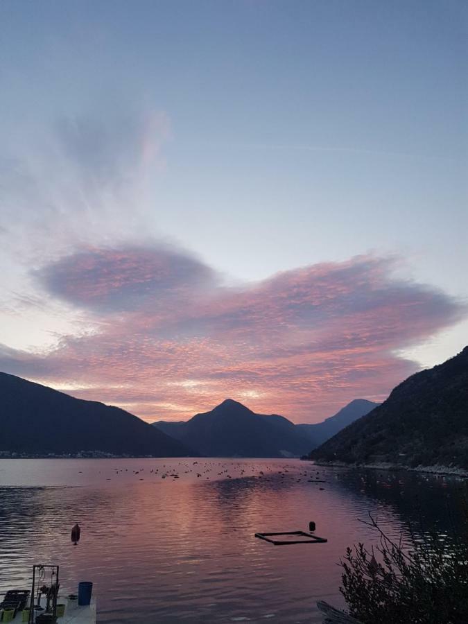 Apartman Posejdon Kotor Kültér fotó