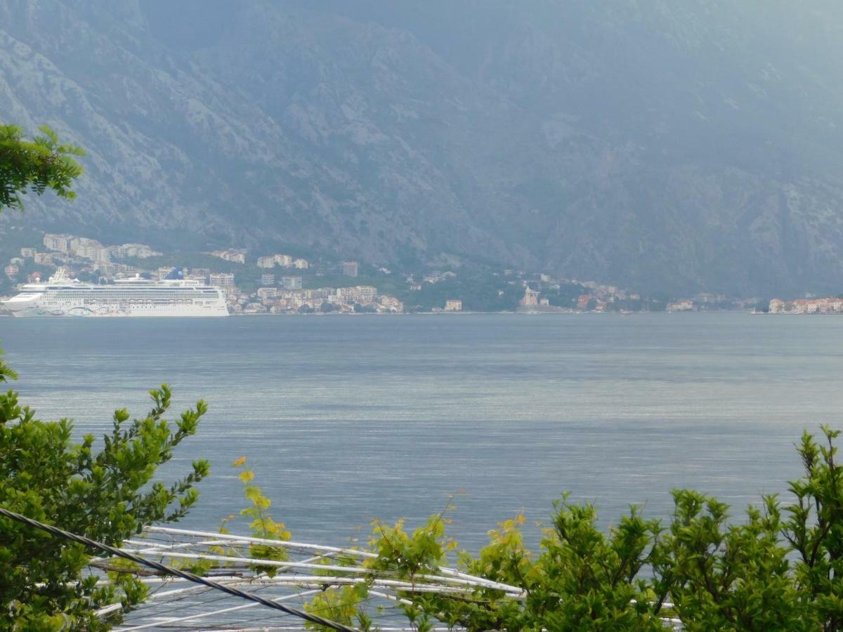 Apartman Posejdon Kotor Kültér fotó