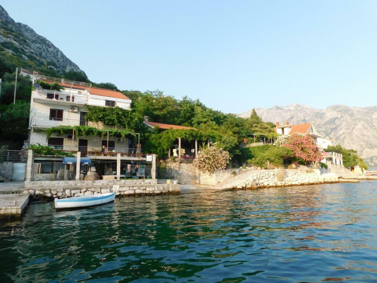 Apartman Posejdon Kotor Kültér fotó