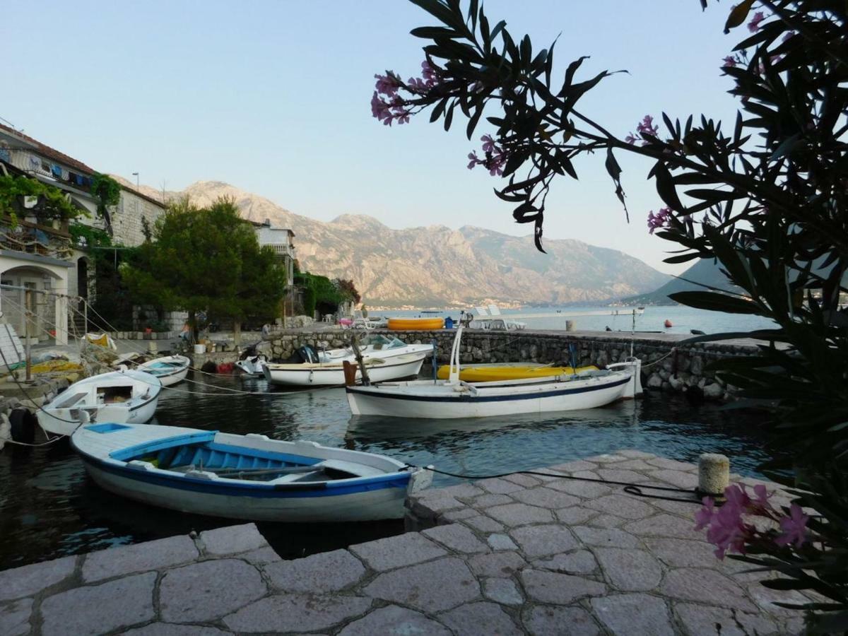Apartman Posejdon Kotor Kültér fotó